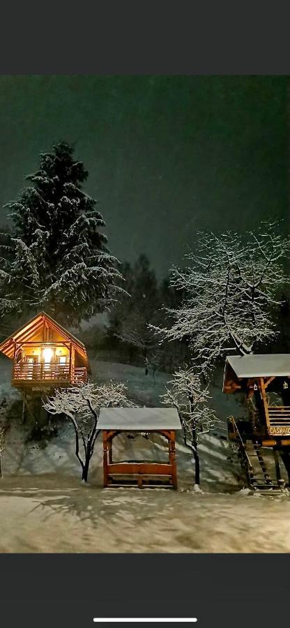Domeniul Horj Casa Din Cires Moisei Villa Exterior photo