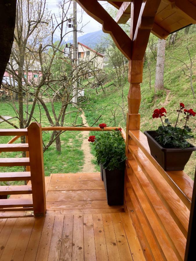 Domeniul Horj Casa Din Cires Moisei Villa Exterior photo